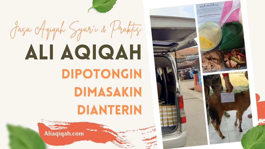 Ali Aqiqah Penyedia Jasa Aqiqah Purwokerto